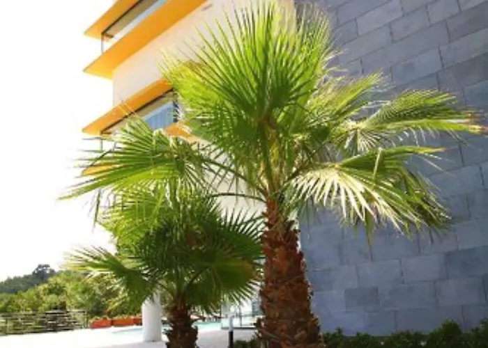 Hotell Esperia Palace & 5*